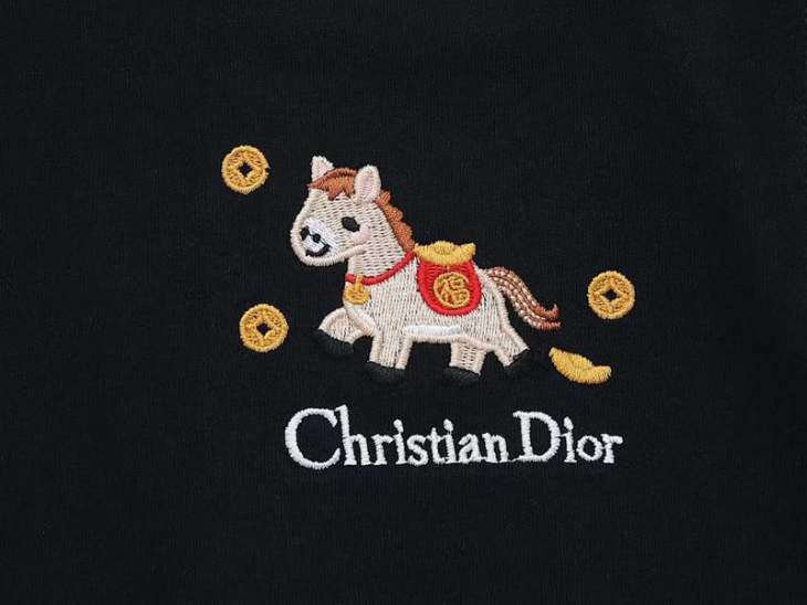 Dior T Shirts Short _SKUDiorS-XL8qx0215804